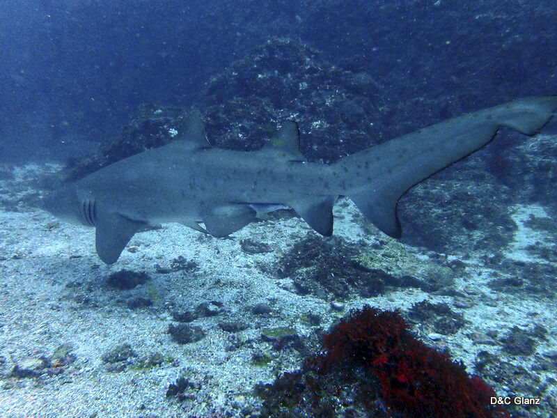 7e5ce738-803f-459e-a008-c1bbbecb43a9