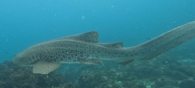 7b71f9dd-4711-4f19-91dc-4370a5770553