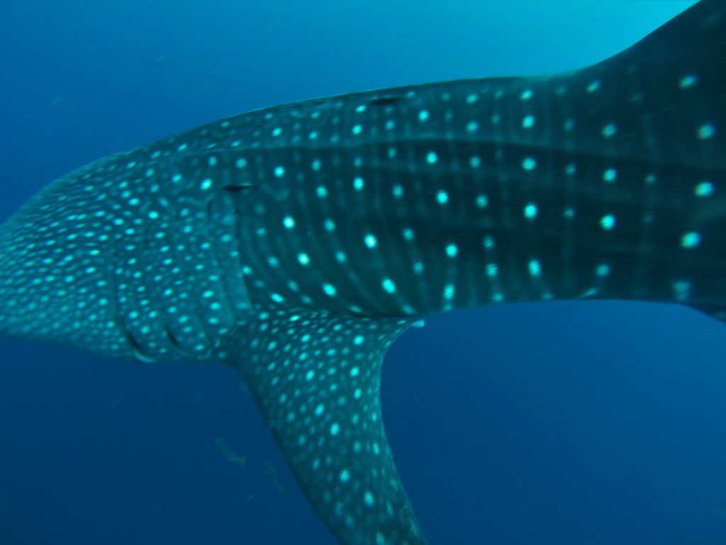 db269912-1e15-47e7-8b11-3125112402e5