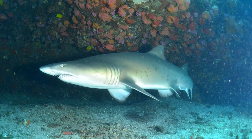 0fc97ede-5f0b-4abc-b32b-7f7374948fa5