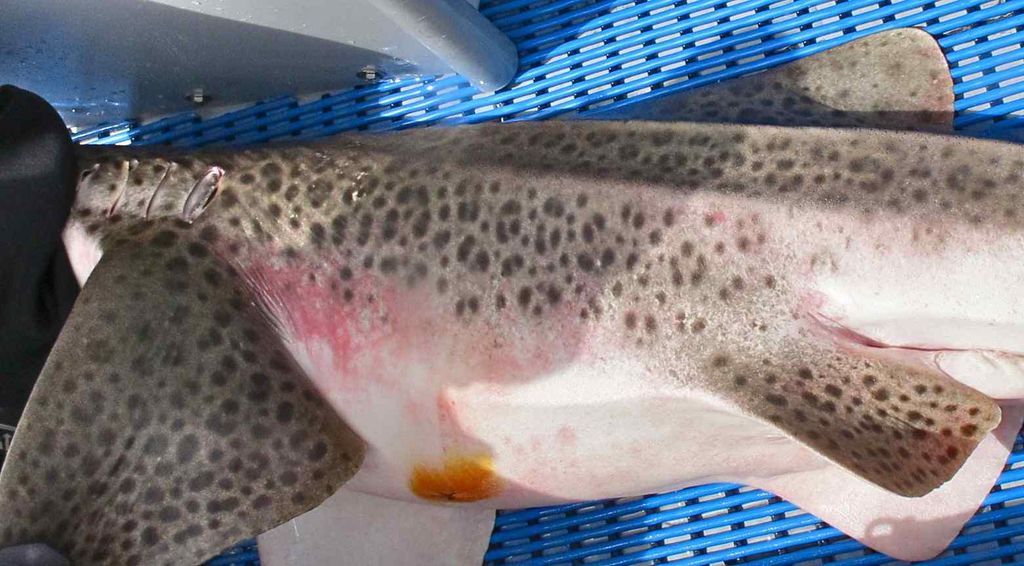 5140b099-9a50-4a14-8bd5-c6e5a7571f52