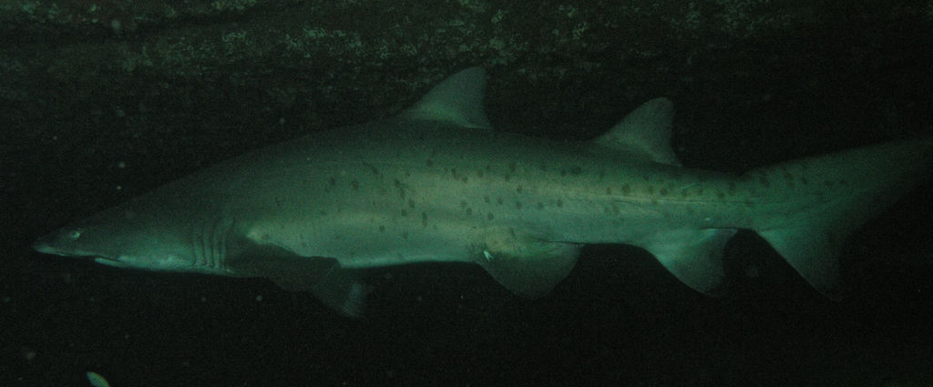 e6a38a03-819c-4954-9756-4b1c9ac42676