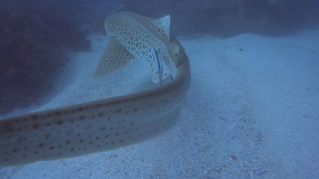 93828a76-6145-4327-ab5b-ec4fa5a10ab0