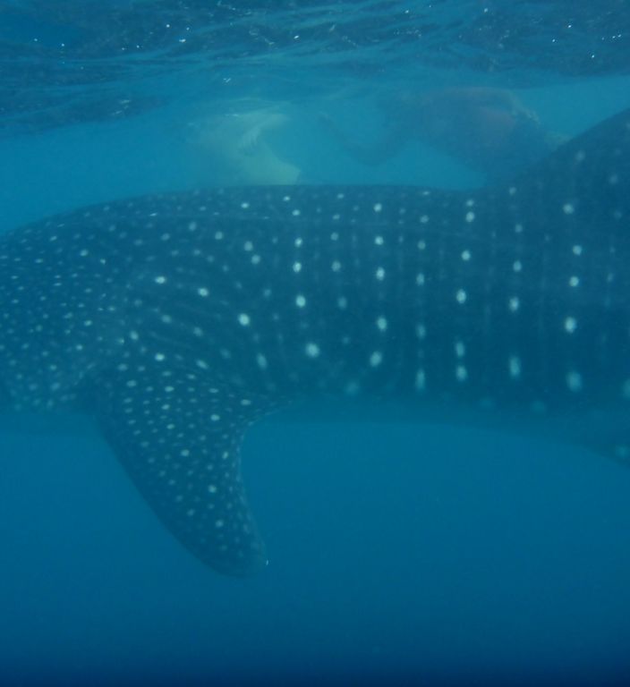 b15e8a1a-6ffd-4890-9290-e4d3da96c603