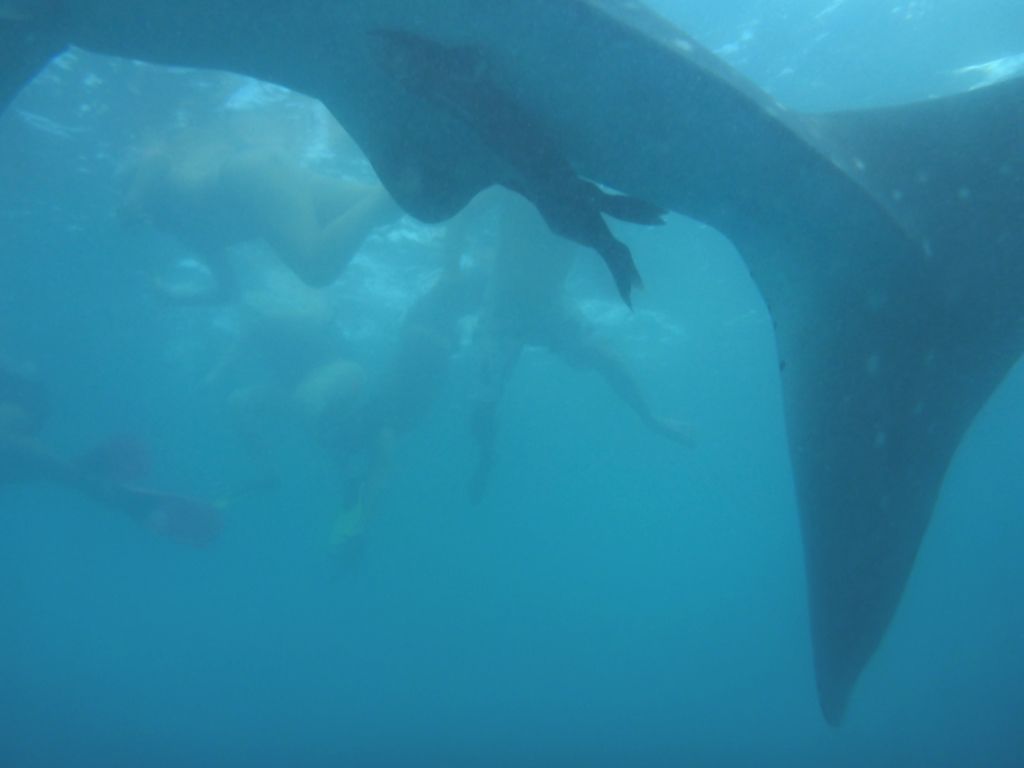 b15e8a1a-6ffd-4890-9290-e4d3da96c603