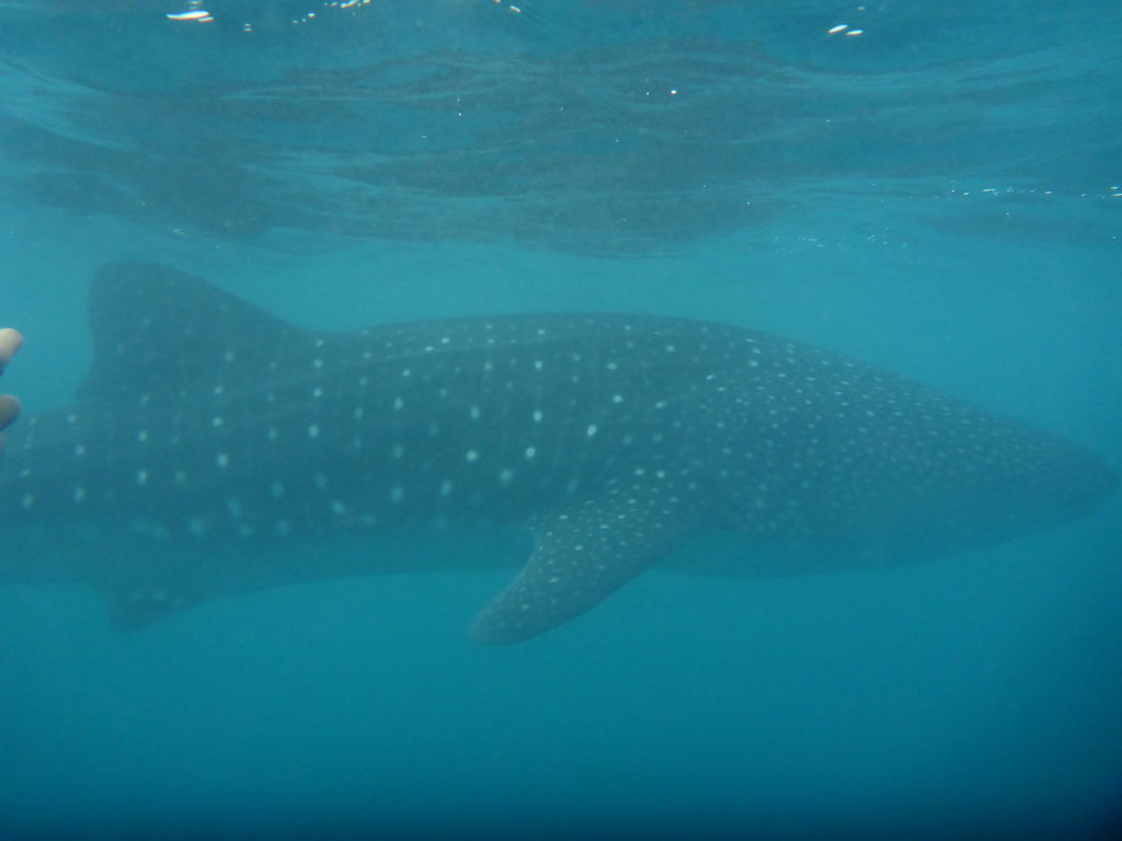 b15e8a1a-6ffd-4890-9290-e4d3da96c603