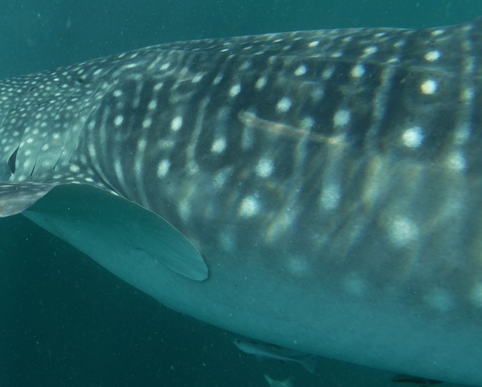 968c3033-80b4-4435-9688-f2cfcc9b7f9b