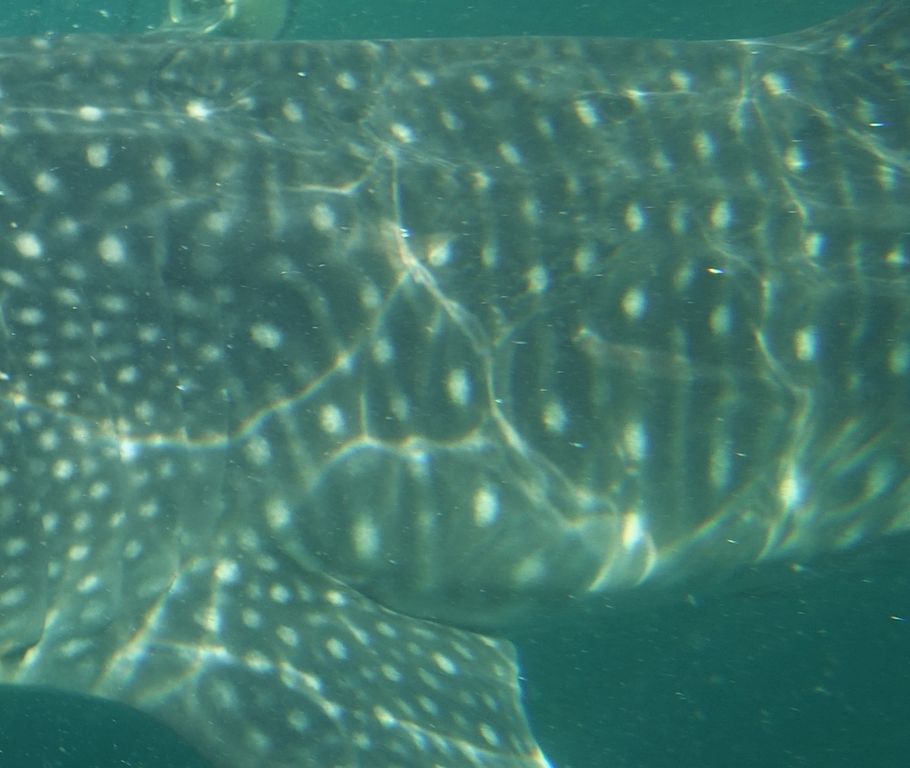 968c3033-80b4-4435-9688-f2cfcc9b7f9b