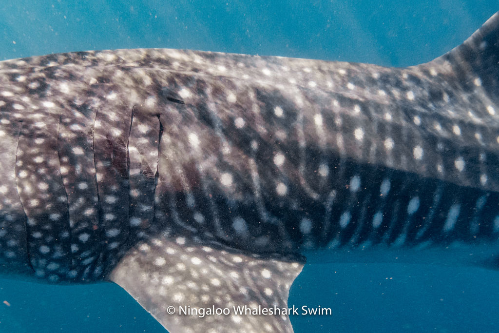 1b53ba66-5957-4b08-bc89-7c8d89948c0e