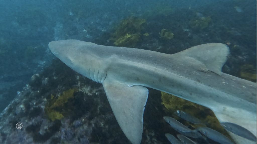 55fdb04a-ec5d-499b-ab72-3d8c35782e87