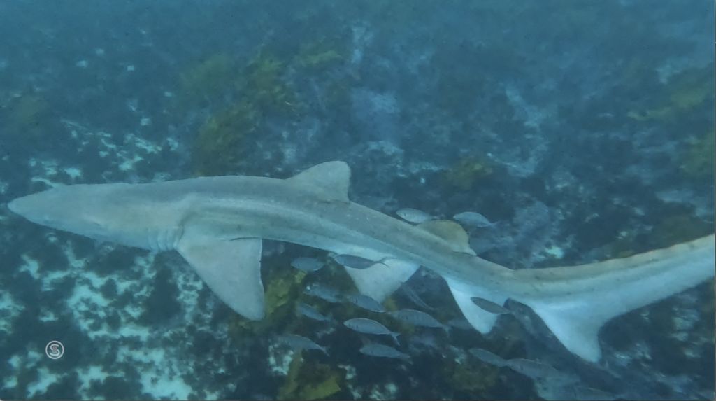 55fdb04a-ec5d-499b-ab72-3d8c35782e87