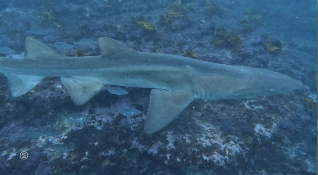 55fdb04a-ec5d-499b-ab72-3d8c35782e87