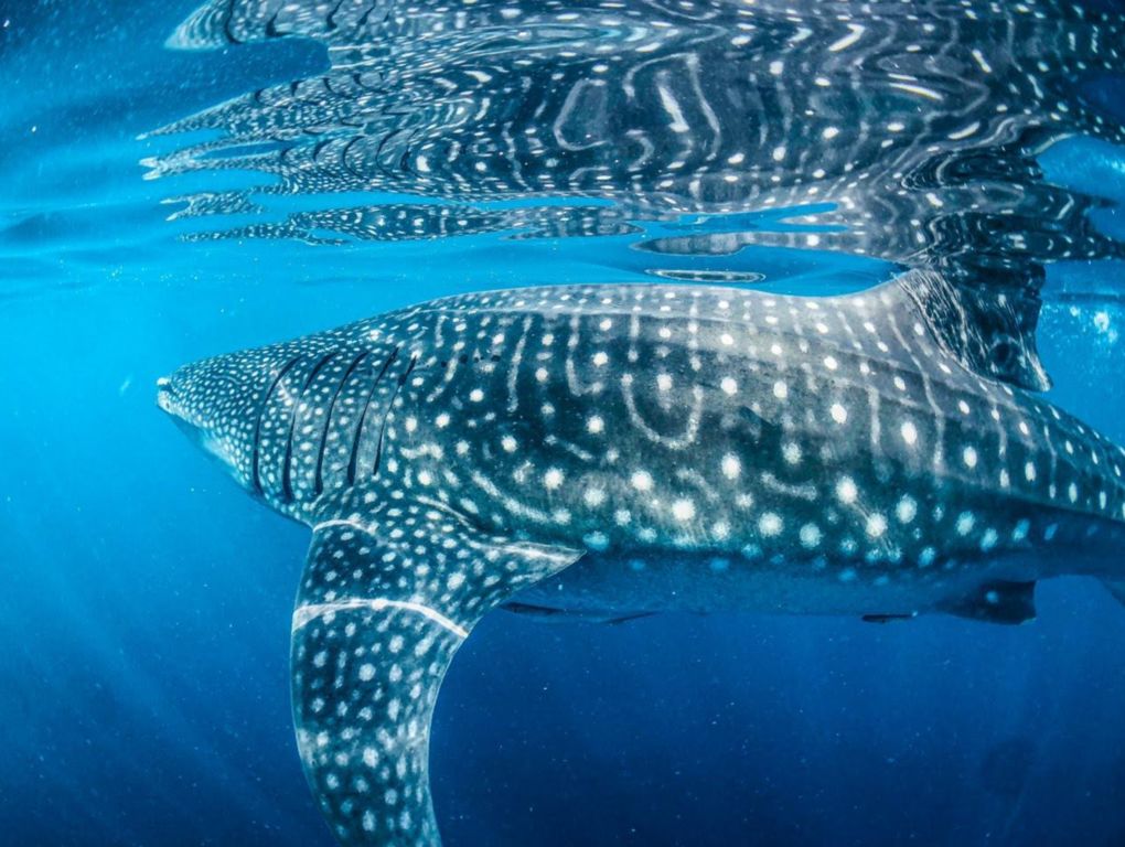 8db4bb4f-6b4a-4f5b-aeb5-c62fd815fe4f