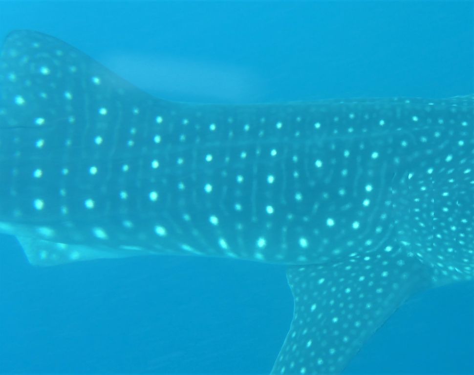 22bc7e7e-7890-4ea2-829d-dd92d076a732