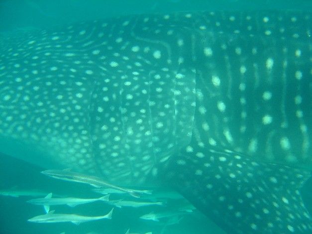 4e88df75-5705-40dd-8b01-0be82808190f