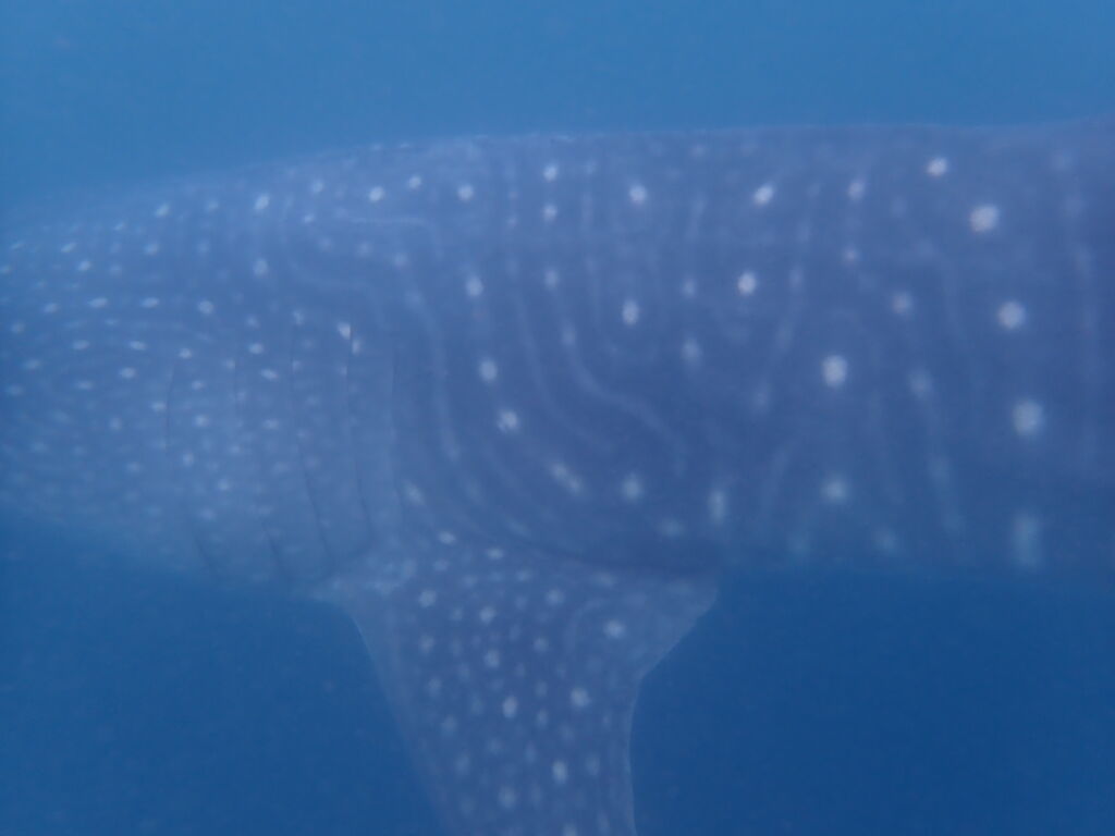 c33fa01b-91b0-4e86-8cc5-5914c5a0be55