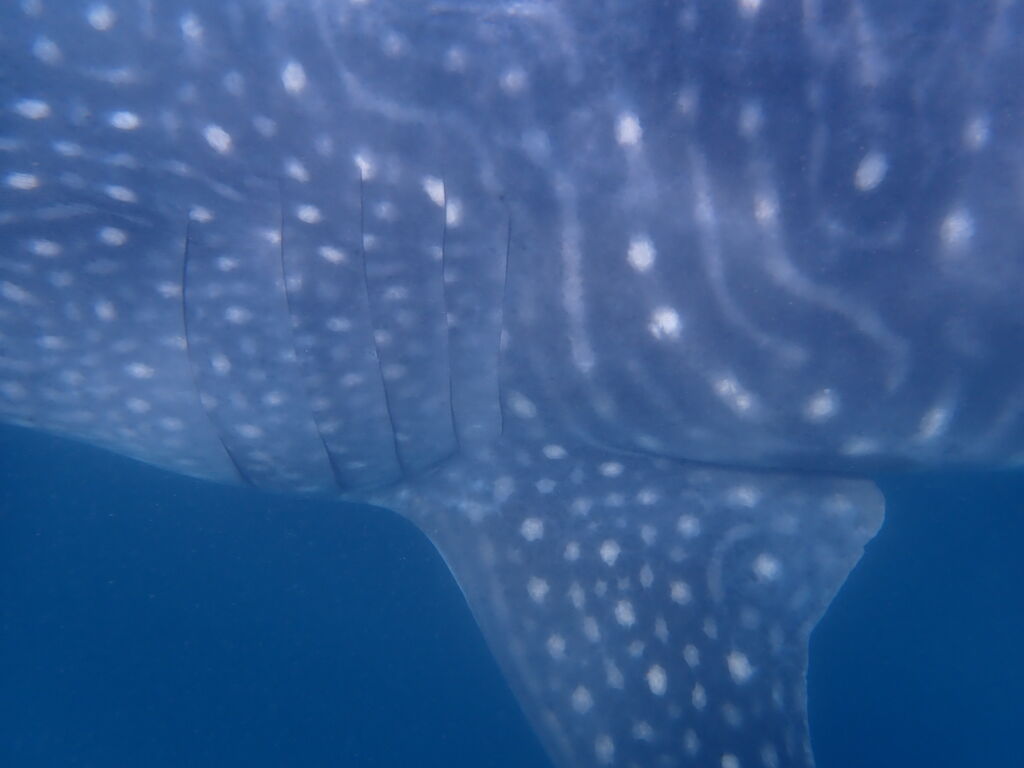 c33fa01b-91b0-4e86-8cc5-5914c5a0be55