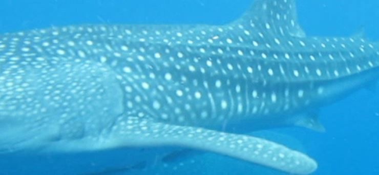 8e27c395-dc2b-4e4c-9546-44b283ff8c86