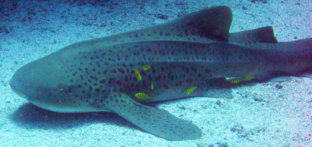 0762deaf-2e2f-4ecd-9331-84aa85908fe8