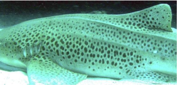 9f40b05d-5cb6-40a1-8c3b-21618f11febb