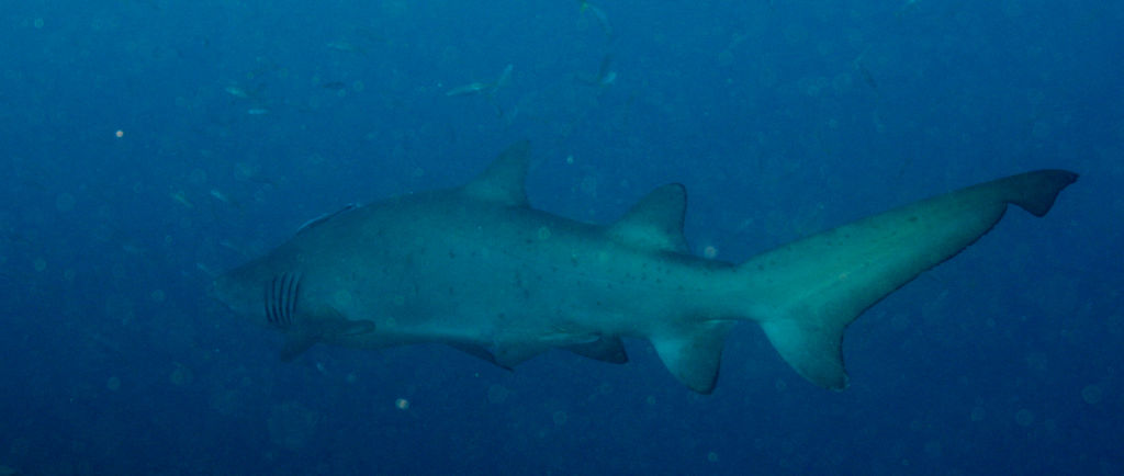 df1339c7-cdfa-49d1-b10e-080234d933c0