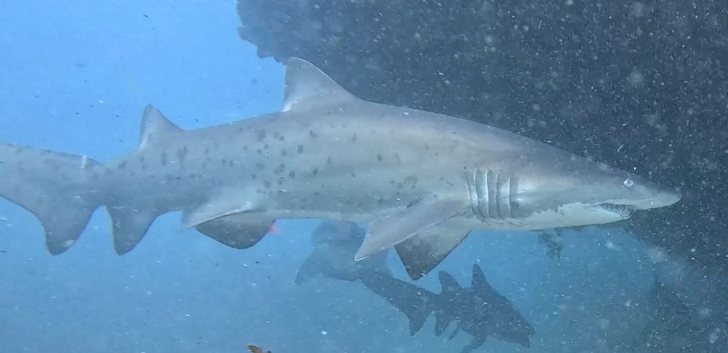 ecb69896-9627-4745-bfd2-1d2ff1f86220