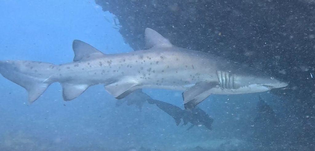 ecb69896-9627-4745-bfd2-1d2ff1f86220