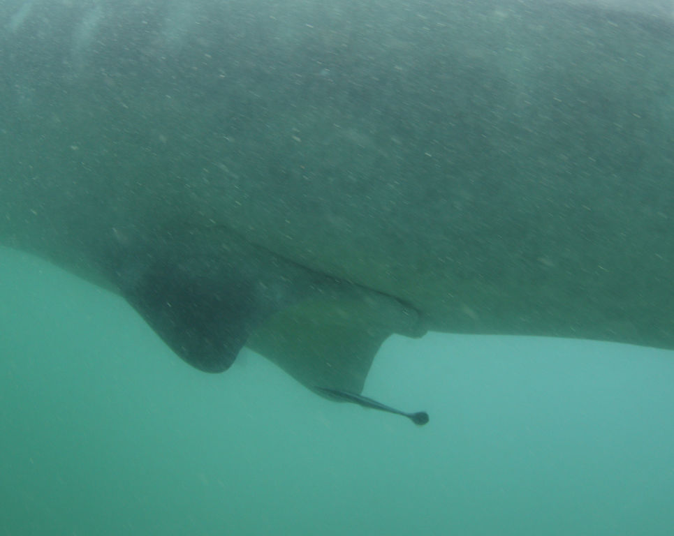 2cf03b87-c138-4a79-aa90-c059eff95e09