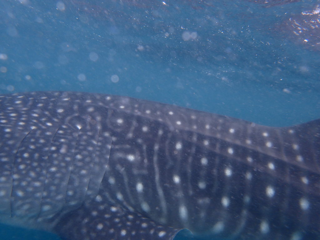 e296b140-971f-4fba-939b-9ed518f0a4f9