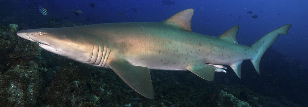 3aa70d6a-5bbe-4294-8f42-e35f907a1710