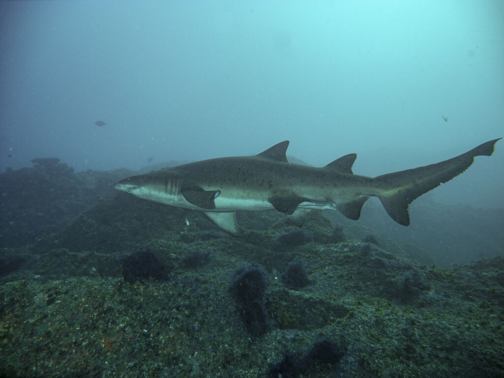 29033d5a-cdb0-4cb5-904f-b04cffee3a65