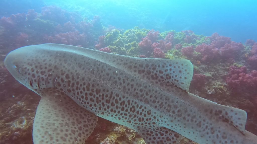 c6fd5142-1f55-4509-9536-7e96516519b8