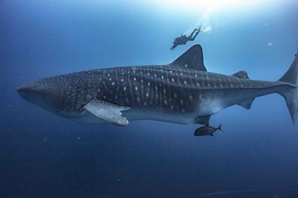 b8fb6816-1dac-40ef-ada7-cdcd432c740c