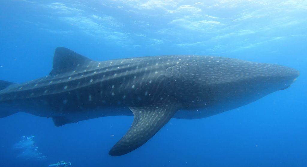 e3066f96-4b9b-42a9-83dc-c3b7168d84b4