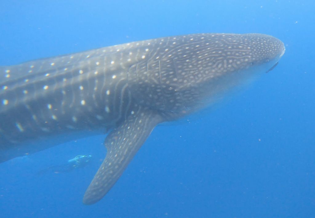 e3066f96-4b9b-42a9-83dc-c3b7168d84b4