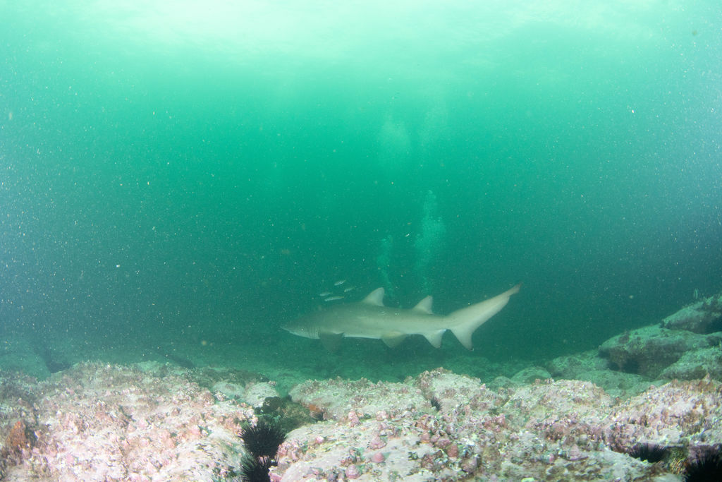 601c72c0-e2ce-4297-8ffa-417ad3bb3045