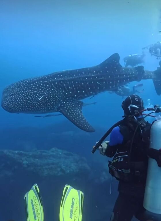 c49a8785-1db7-4e00-944a-5393db57e974