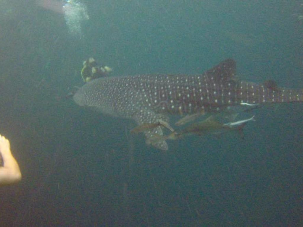 d7888f45-87bb-4042-a5e8-5795192e3a99