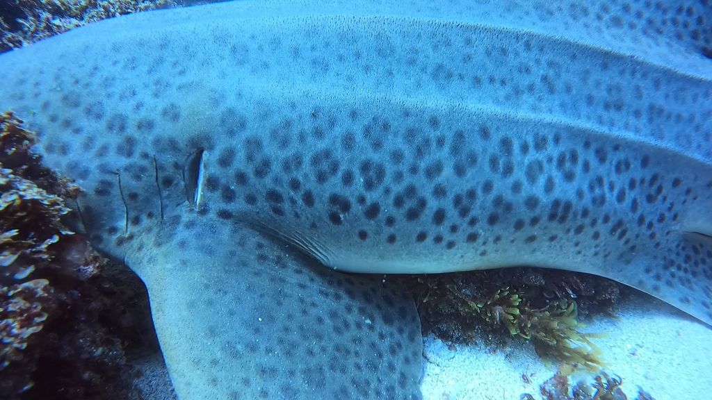 3fe71198-0a6a-4476-9800-aaae15c7bda4