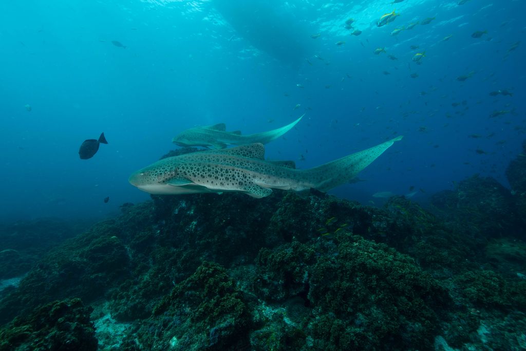 f09d9870-7c79-4cf2-b71c-9cd222186569