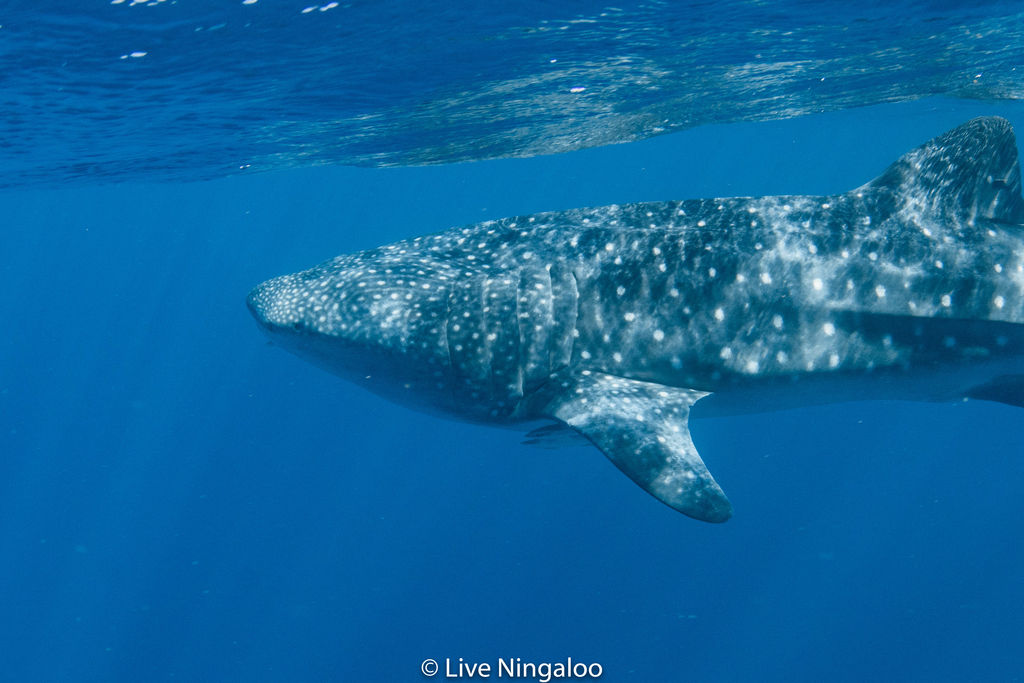 5e6c1361-2b48-4e90-b690-ea61ff163fcd