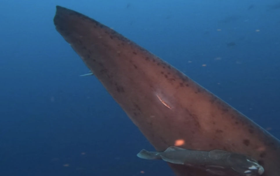 841c6885-2175-4864-be2a-8e5eec26666c