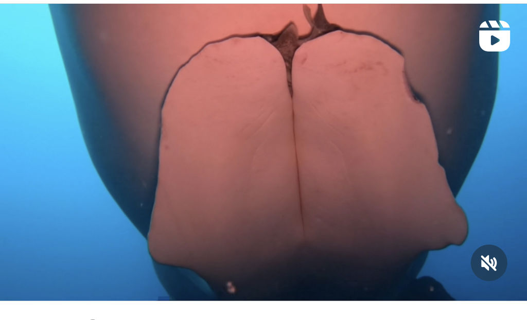 841c6885-2175-4864-be2a-8e5eec26666c