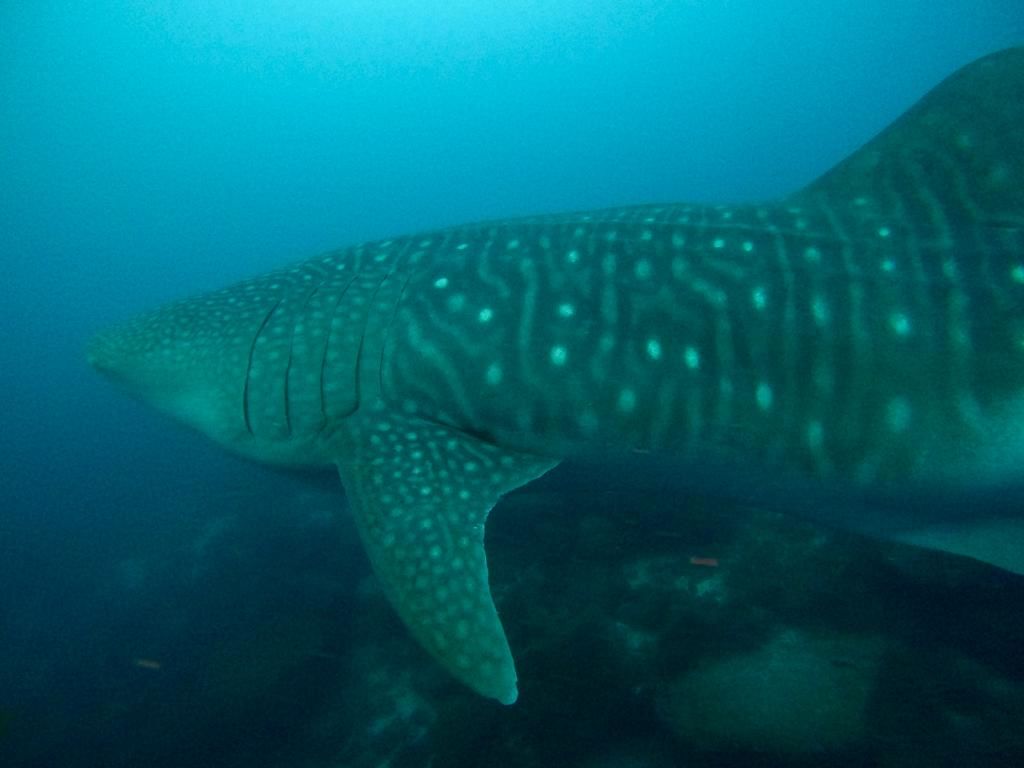 841c6885-2175-4864-be2a-8e5eec26666c