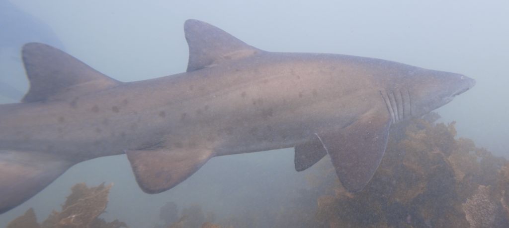 362b7f38-5caf-4319-8a8d-3d1890700297