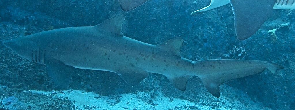 3aa09b96-3c29-417b-a924-ffed1d2b3d20