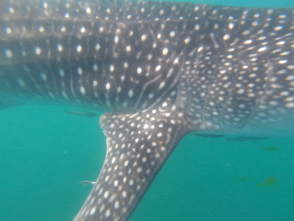 890052fc-e327-4554-8c62-b5d1c574d6ac