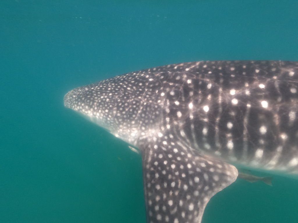 890052fc-e327-4554-8c62-b5d1c574d6ac