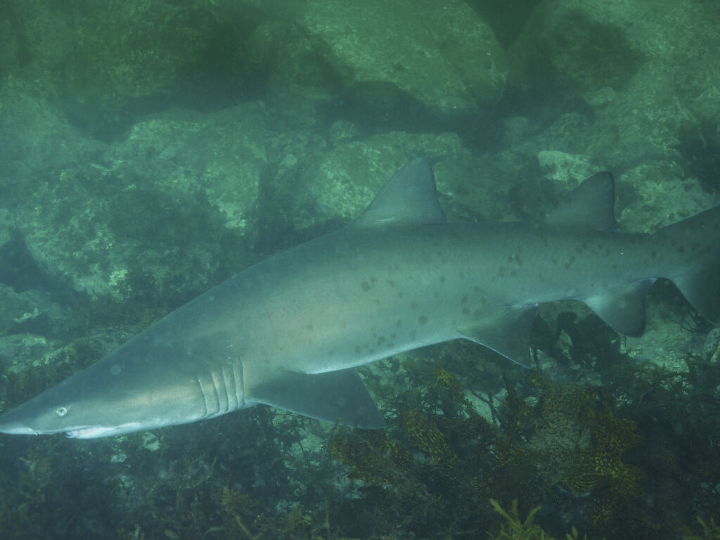 1d0b8d3d-486b-41f6-b132-e1b4aabeb965