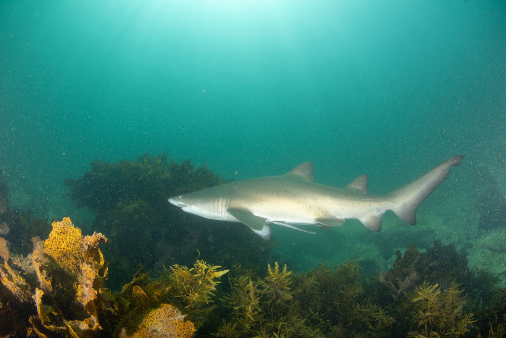 d3878503-c202-4cd0-af2f-47640f67b2aa